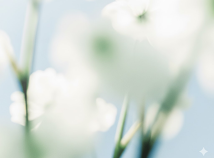 Product Strategy Consulting